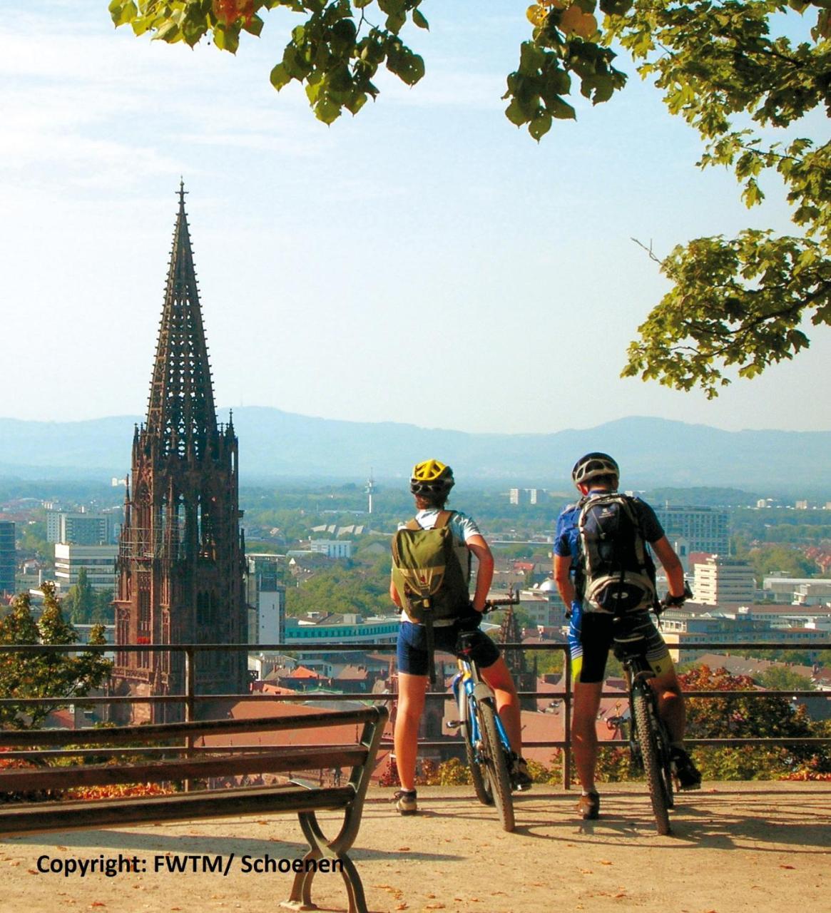 Invite Hotel Loewen Freiburg Kültér fotó